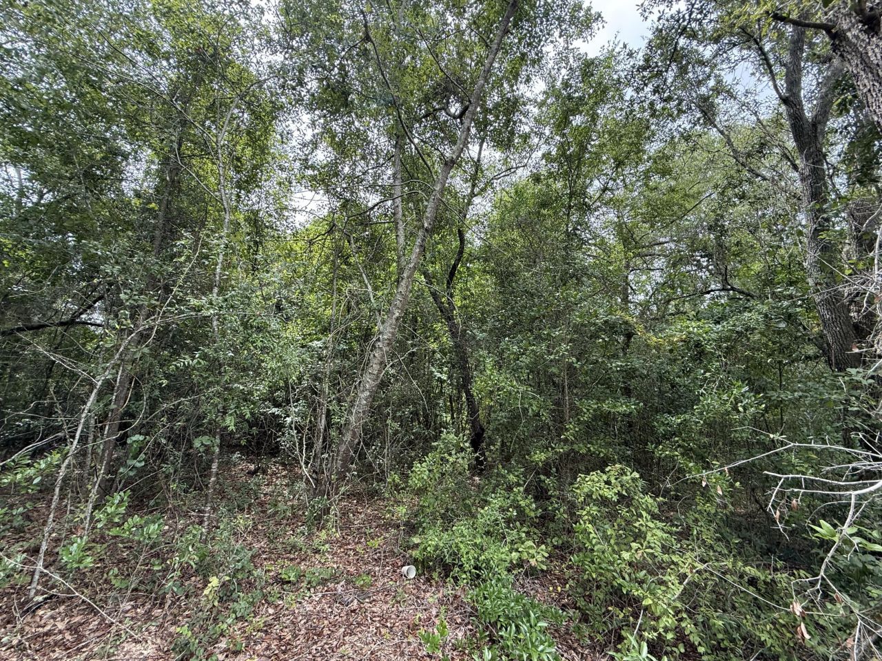 0000 Summer Drive Photo 5