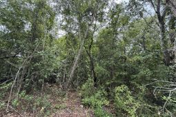 0000 Summer Drive photo 4