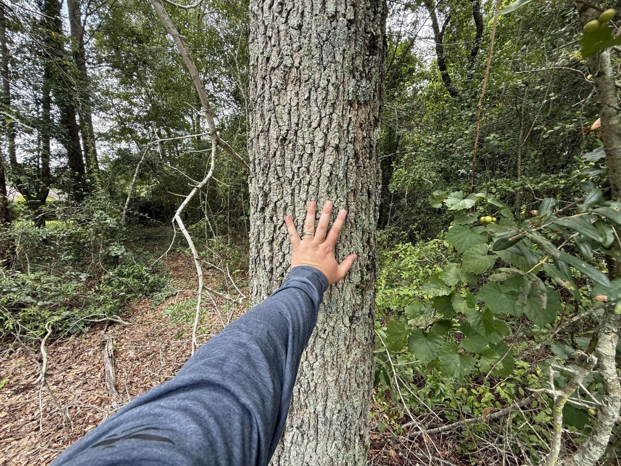 0000 Summer Drive Photo 6