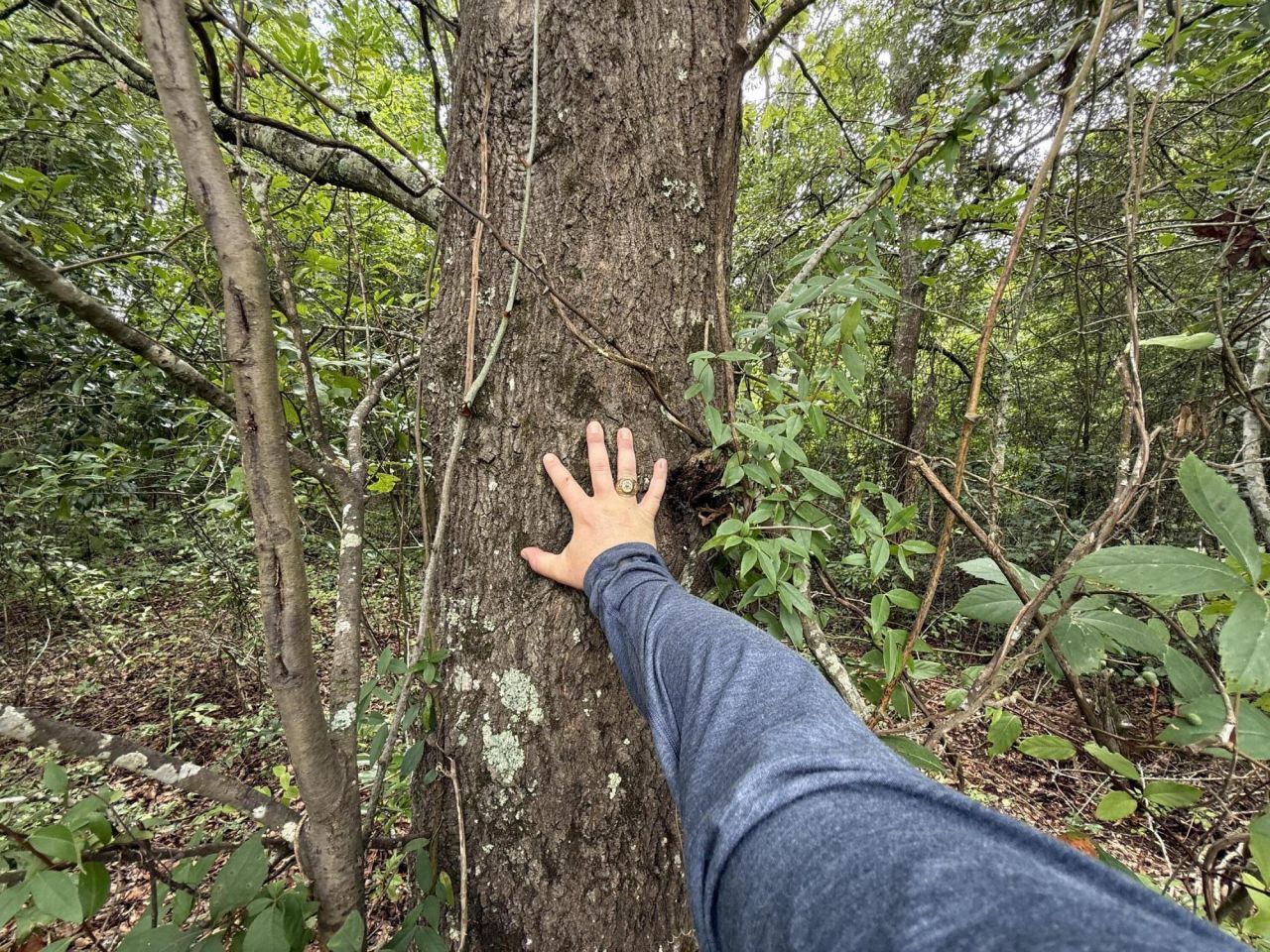 0000 Summer Drive Photo 9