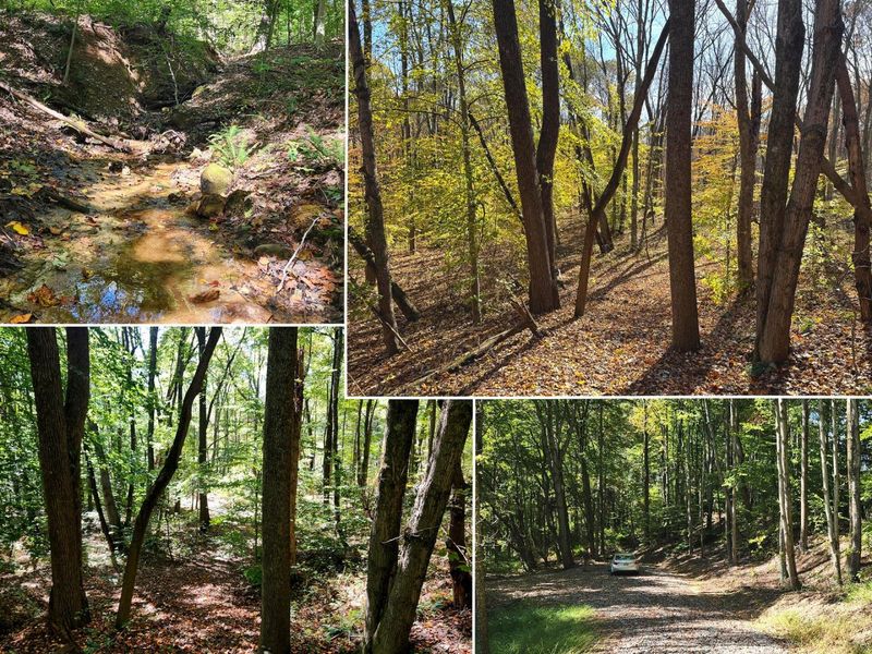 929 Poplar Ridge Road , Unit (Ponds Pop, Gallipolis, OH 45631 Photo 1