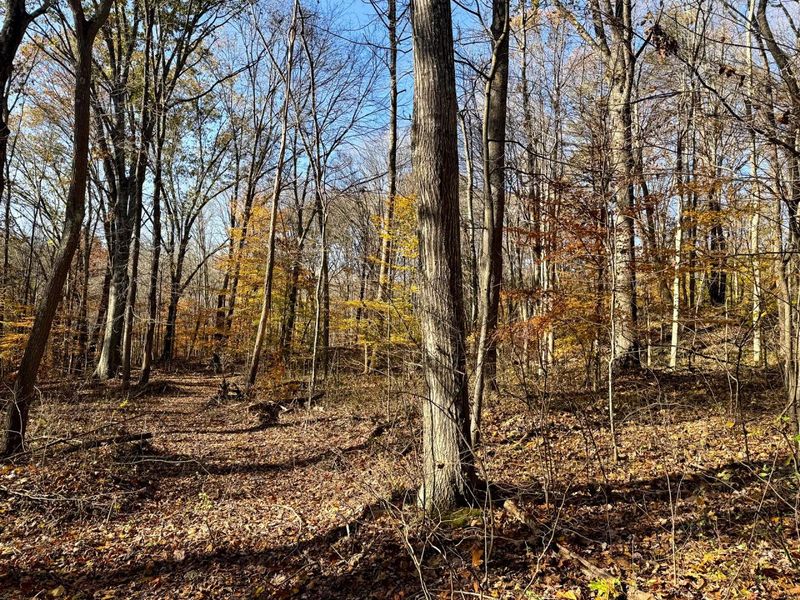 929 Poplar Ridge Road , Unit (Ponds Pop, Gallipolis, OH 45631 Photo 11