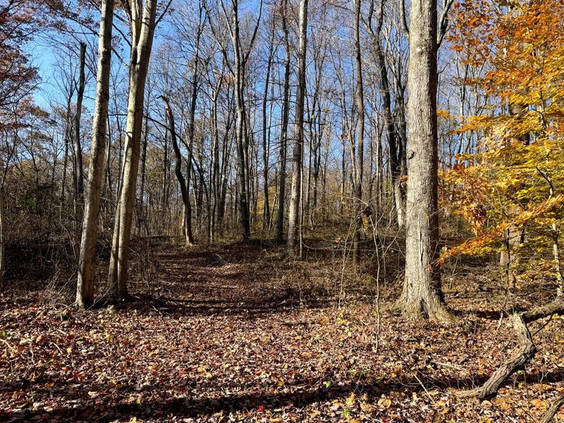 929 Poplar Ridge Road , Unit (Ponds Pop, Gallipolis, OH 45631 Photo 12