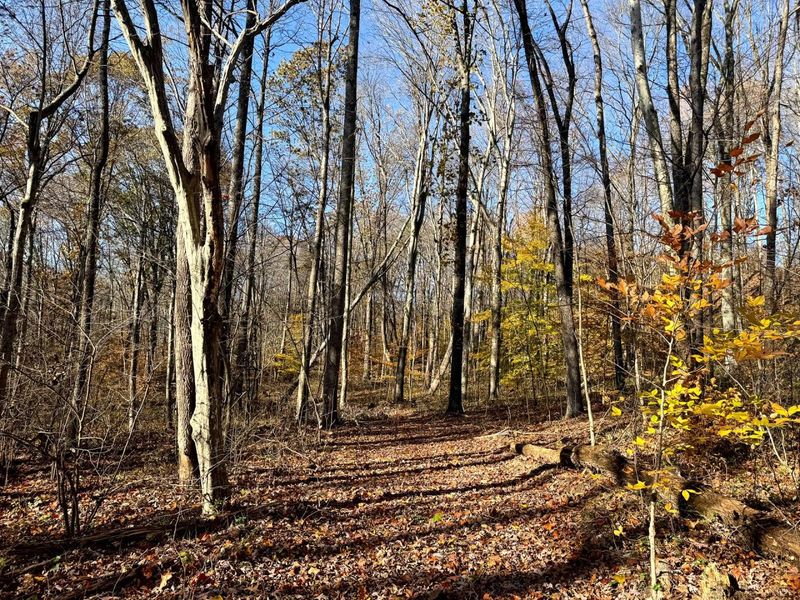 929 Poplar Ridge Road , Unit (Ponds Pop, Gallipolis, OH 45631 Photo 13