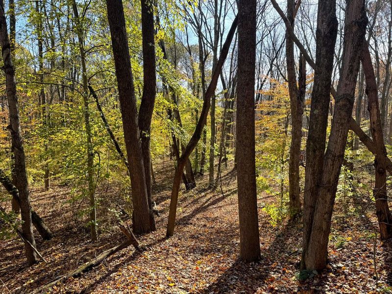 929 Poplar Ridge Road , Unit (Ponds Pop, Gallipolis, OH 45631 Photo 14