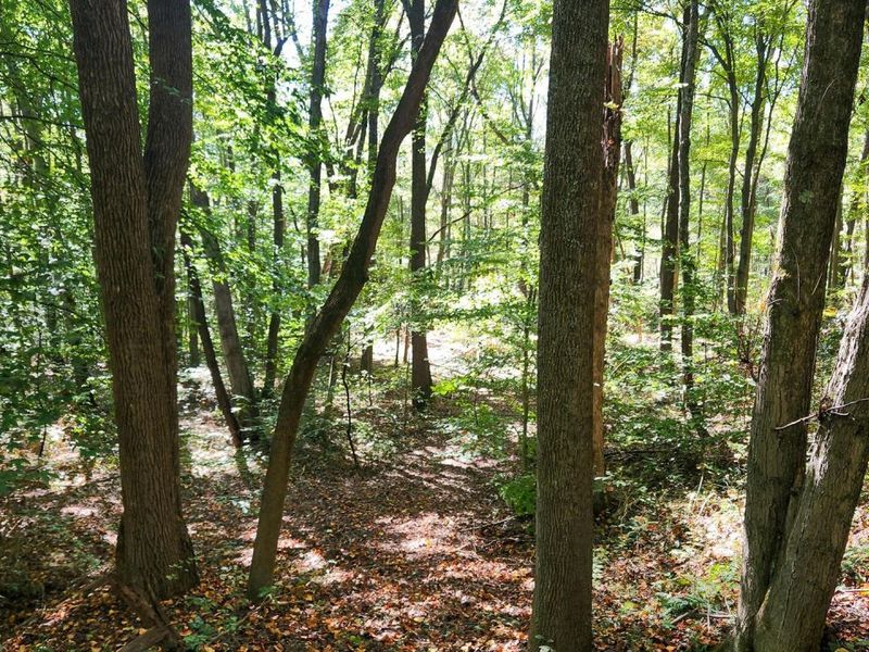 929 Poplar Ridge Road , Unit (Ponds Pop, Gallipolis, OH 45631 Photo 15