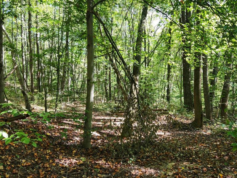 929 Poplar Ridge Road , Unit (Ponds Pop, Gallipolis, OH 45631 Photo 16