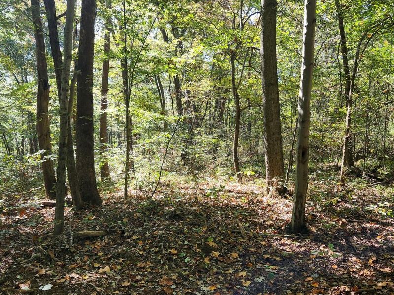 929 Poplar Ridge Road , Unit (Ponds Pop, Gallipolis, OH 45631 Photo 17