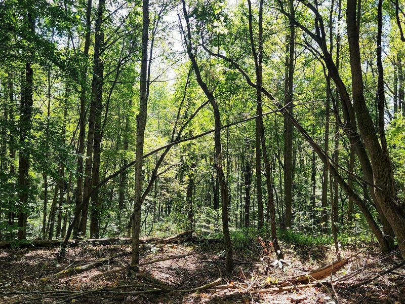 929 Poplar Ridge Road , Unit (Ponds Pop, Gallipolis, OH 45631 Photo 18