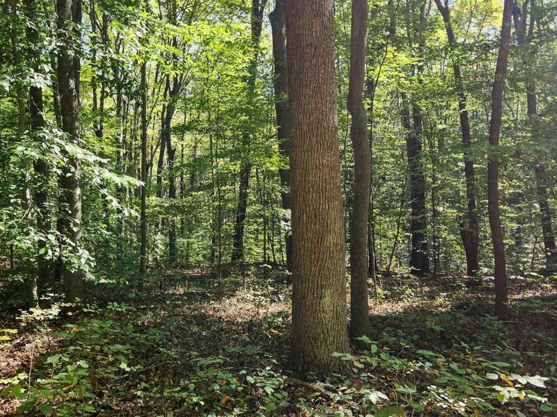 929 Poplar Ridge Road , Unit (Ponds Pop, Gallipolis, OH 45631 Photo 19