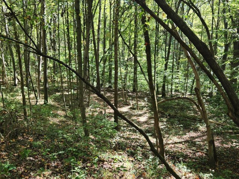 929 Poplar Ridge Road , Unit (Ponds Pop, Gallipolis, OH 45631 Photo 2