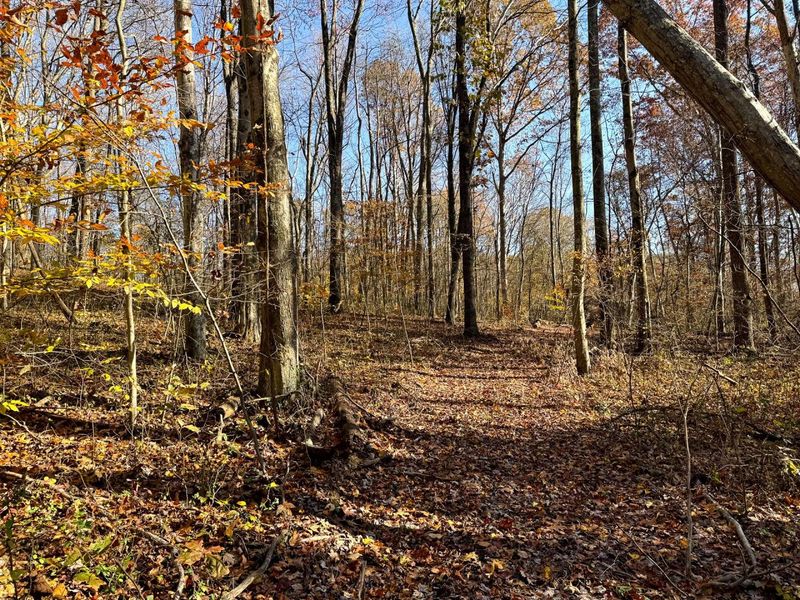 929 Poplar Ridge Road , Unit (Ponds Pop, Gallipolis, OH 45631 Photo 20