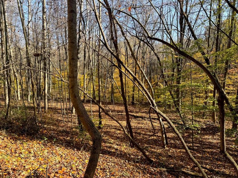 929 Poplar Ridge Road , Unit (Ponds Pop, Gallipolis, OH 45631 Photo 21