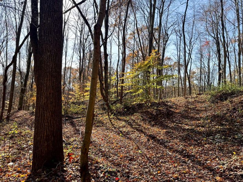 929 Poplar Ridge Road , Unit (Ponds Pop, Gallipolis, OH 45631 Photo 23