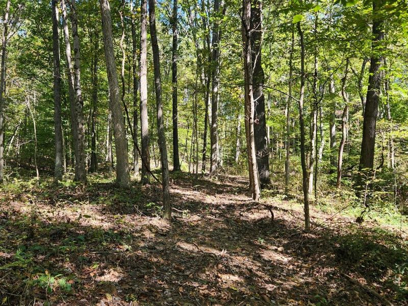 929 Poplar Ridge Road , Unit (Ponds Pop, Gallipolis, OH 45631 Photo 25