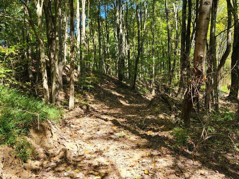 929 Poplar Ridge Road , Unit (Ponds Pop, Gallipolis, OH 45631 Photo 27