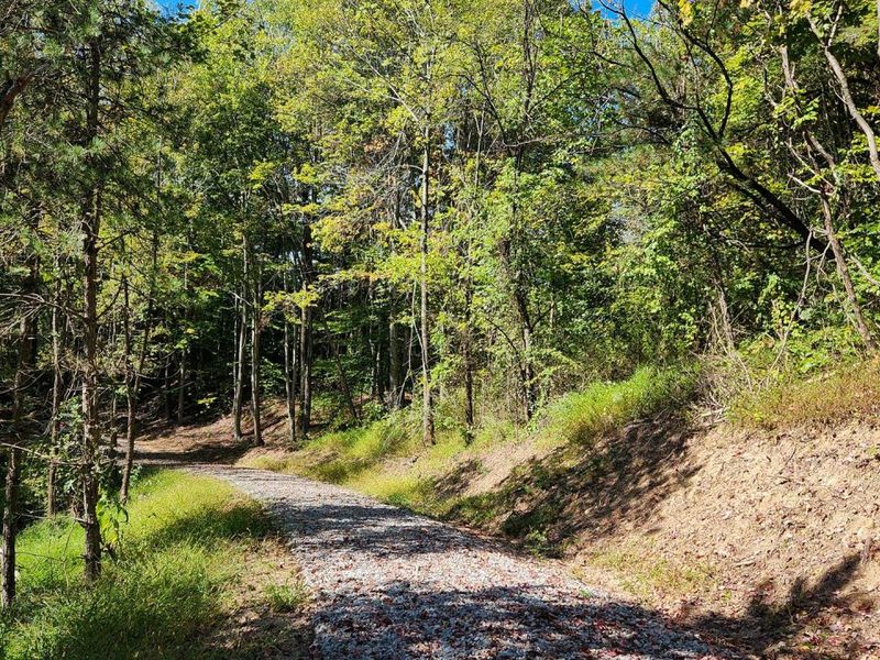 929 Poplar Ridge Road , Unit (Ponds Pop, Gallipolis, OH 45631 Photo 28