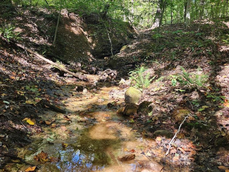 929 Poplar Ridge Road , Unit (Ponds Pop, Gallipolis, OH 45631 Photo 3