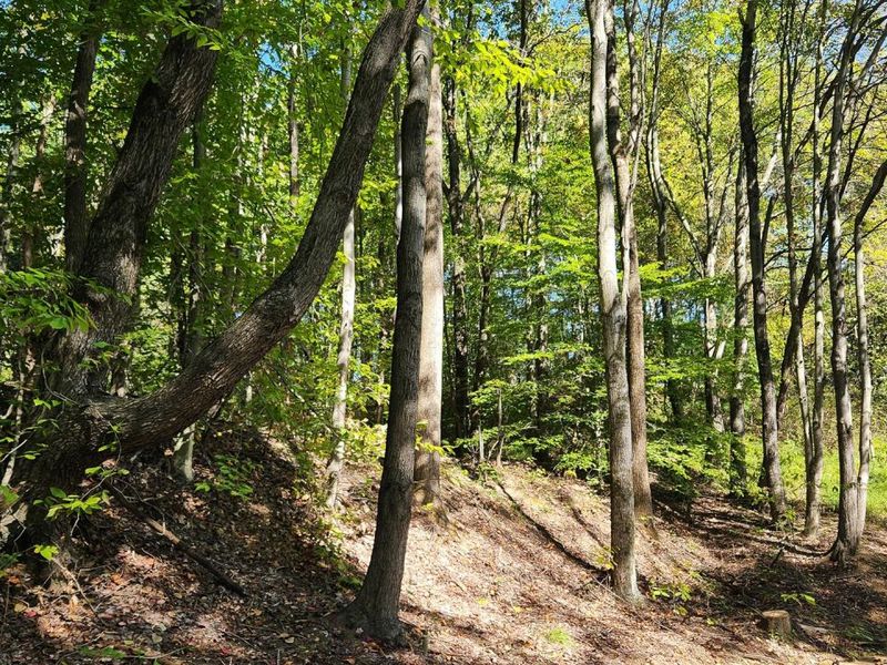 929 Poplar Ridge Road , Unit (Ponds Pop, Gallipolis, OH 45631 Photo 9