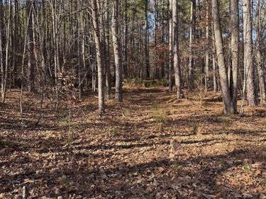 TBD UNION HILL DR, Wingina, VA 24599