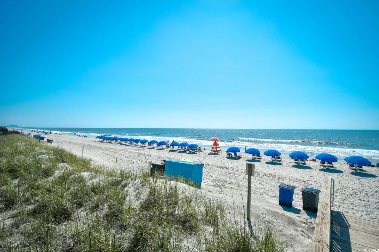 5905 South Kings Hwy. Photo 40