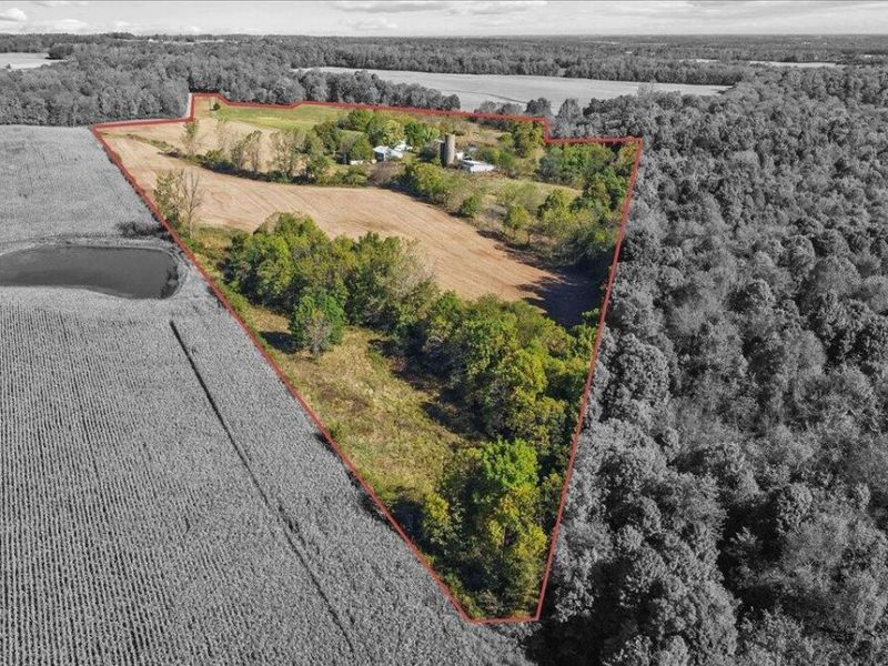 8512 Township Road 29, Zanesfield, OH 43360 Photo 30