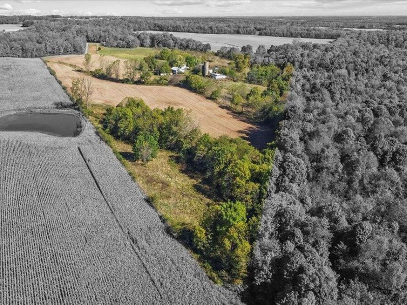 8512 Township Road 29, Zanesfield, OH 43360 Photo 33