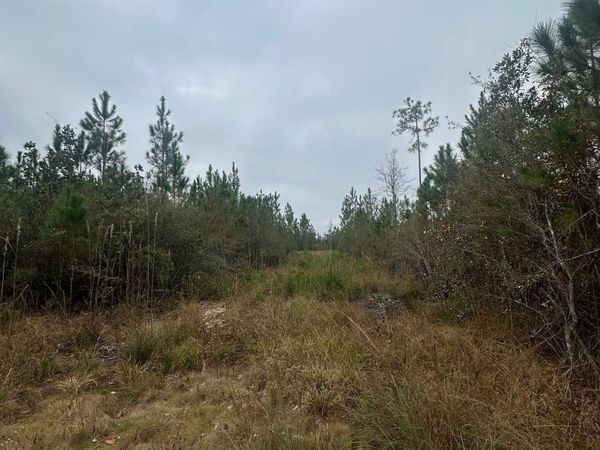 00 FL-71, Blountstown, FL 32424