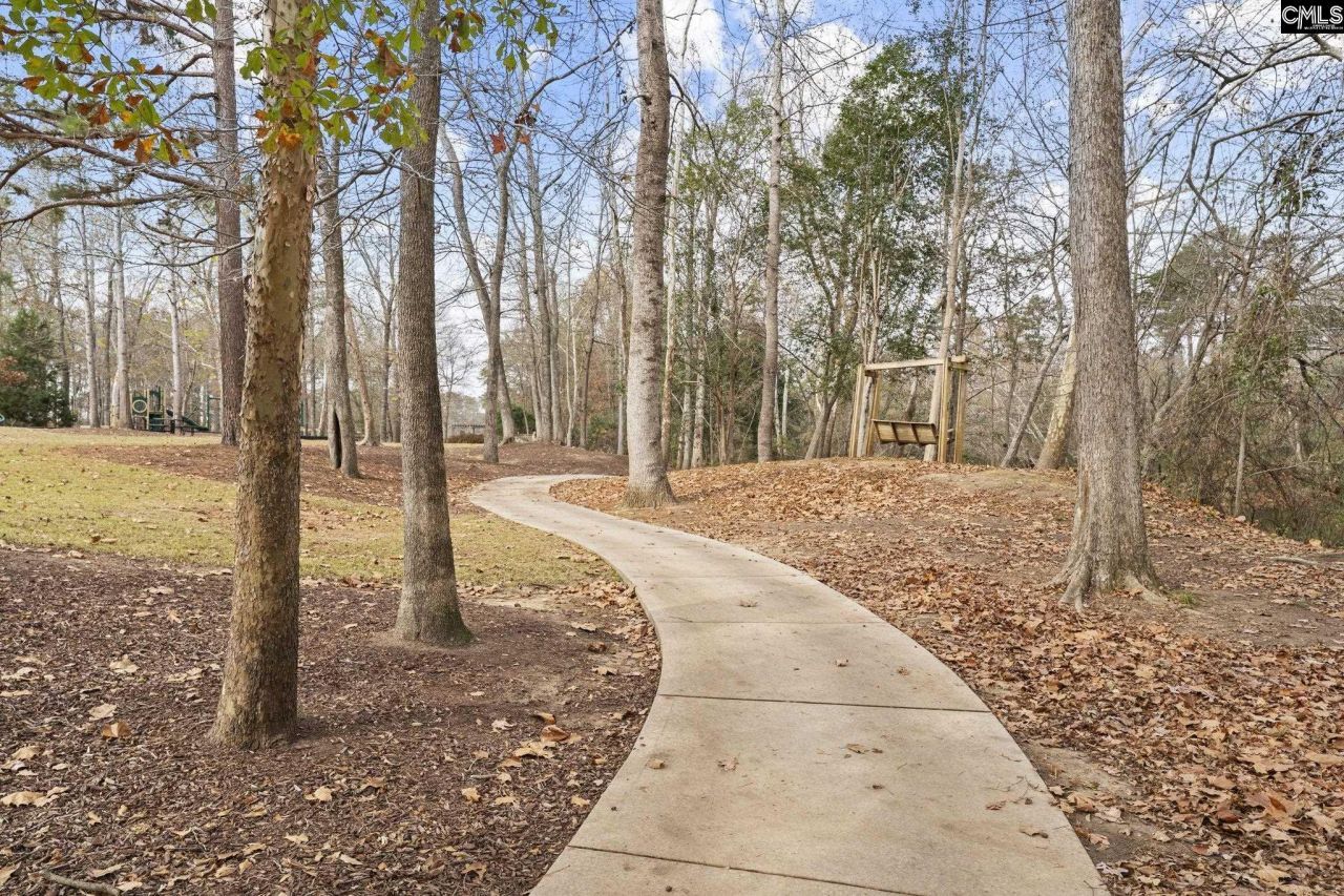 1128 Britton Creek Court Photo 47