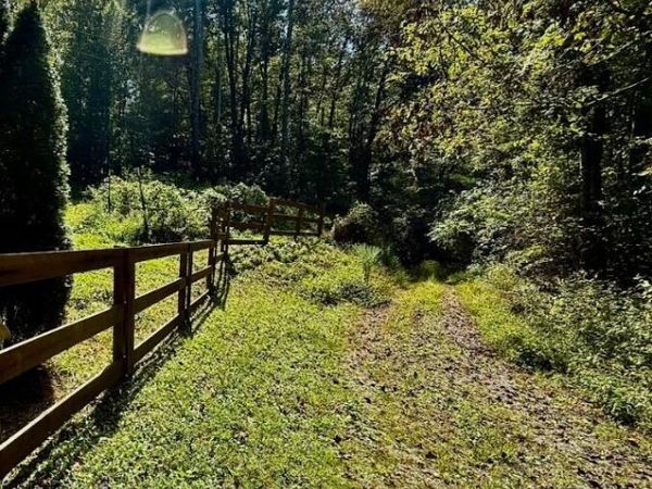 34/AC TBD Off Big Creek Road, Hartford, TN 37753