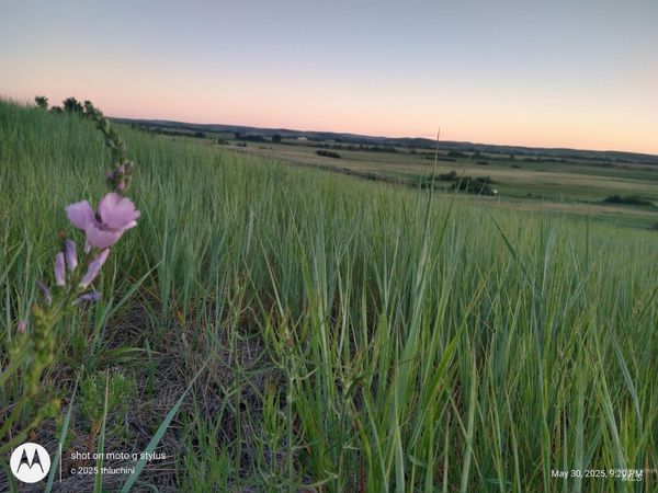 TBD Whiteman Ln, Indian Valley, ID 83632