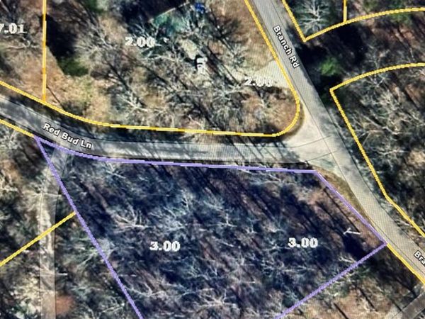 15 Red Bud Ln, Big Sandy, TN 38221