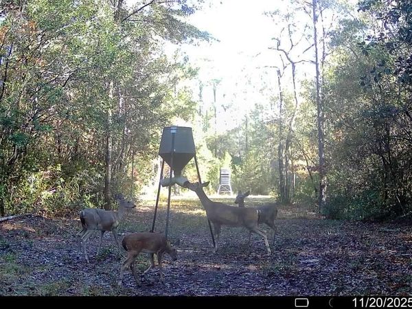 Parcel A&B Sunburst Drive, Crestview, FL 32539
