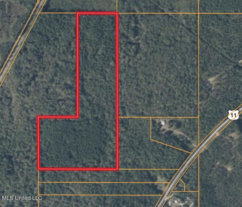 0 Hwy 11, Heidelberg, MS 39439 Main Photo