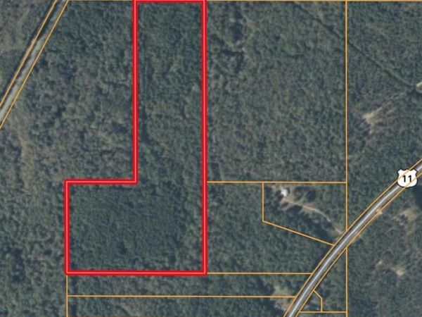 0 Hwy 11, Heidelberg, MS 39439