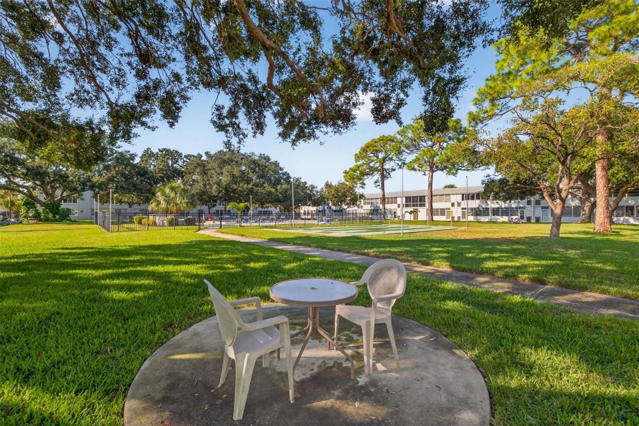 7770 Dr Martin Luther King Jr Street N, Unit 206, Saint Petersburg, FL 33702 Photo