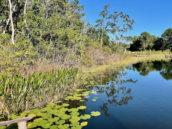 000 FISHER RUN, OCKLAWAHA, FL 32179