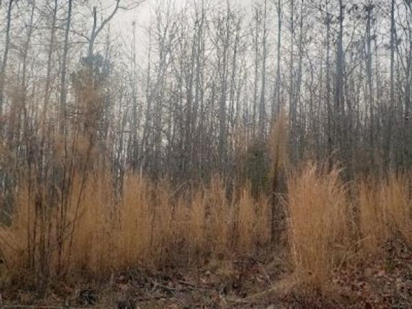 Lot 14 Mountain Creek Rd , Green Bay, VA 23942