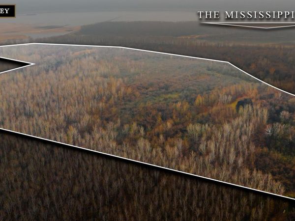 0 State Route 79 , Ridgely, TN 38080