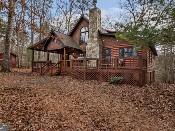 162 Little Falls Drive, Mineral Bluff, GA 30559