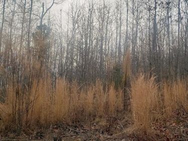 0 Mountain Creek Rd, Green Bay, VA 23942