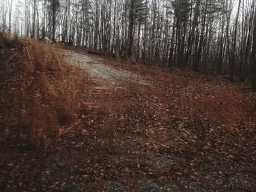 0 Mountain Creek Rd, Green Bay, VA 23942