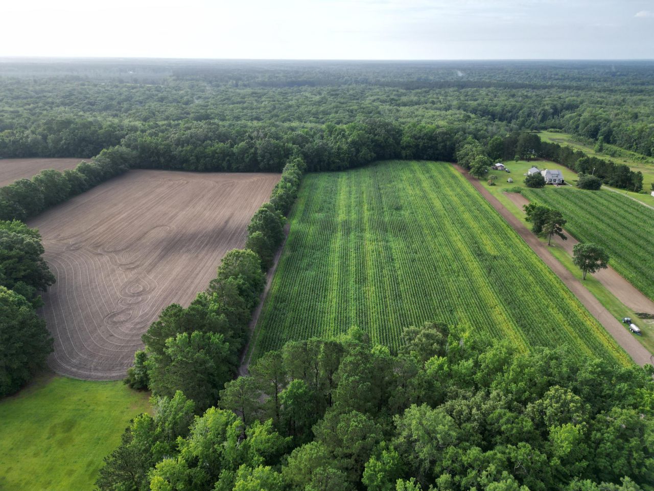 000 Cypress Campground Road Photo 10