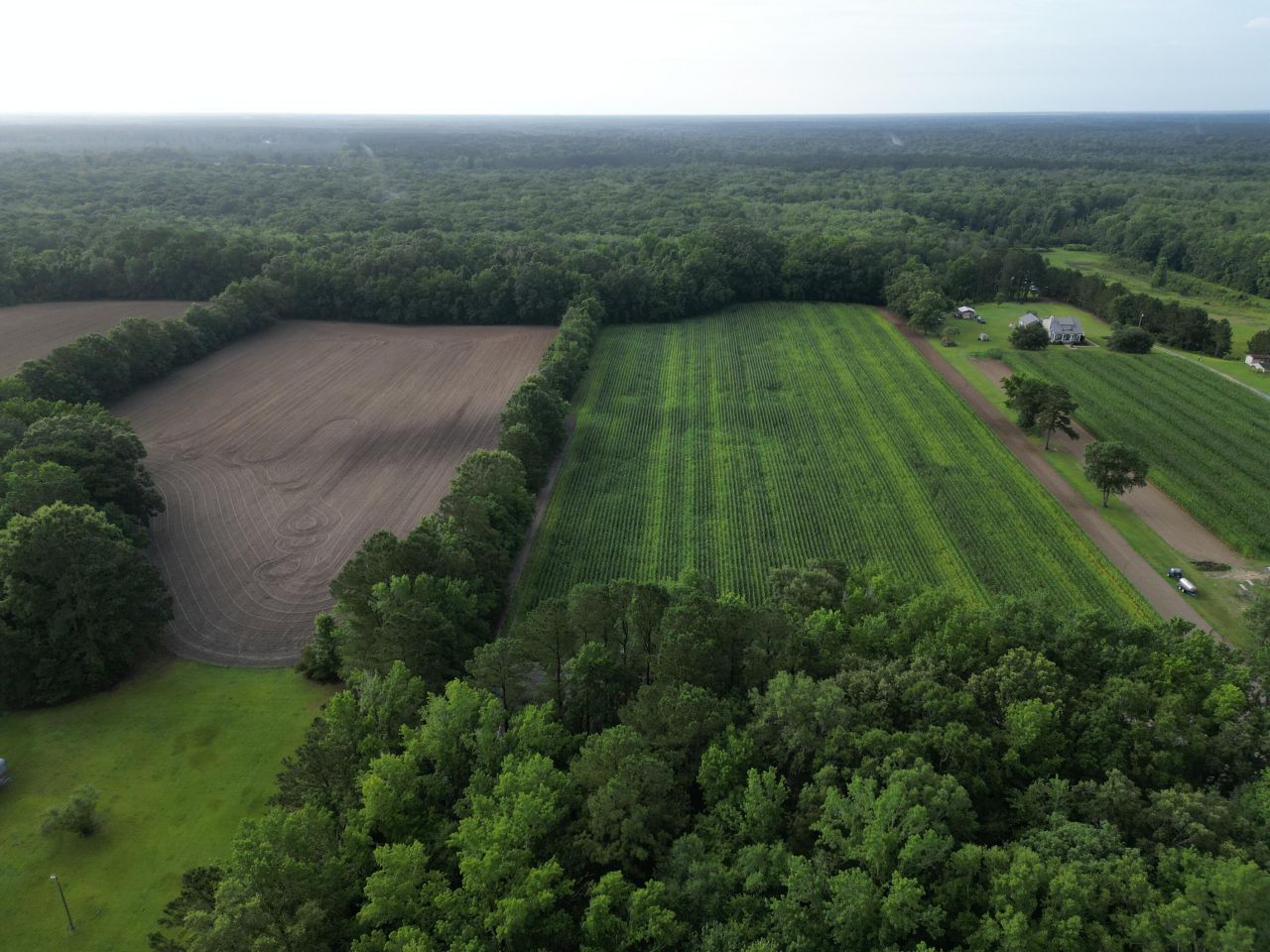 000 Cypress Campground Road Photo 11