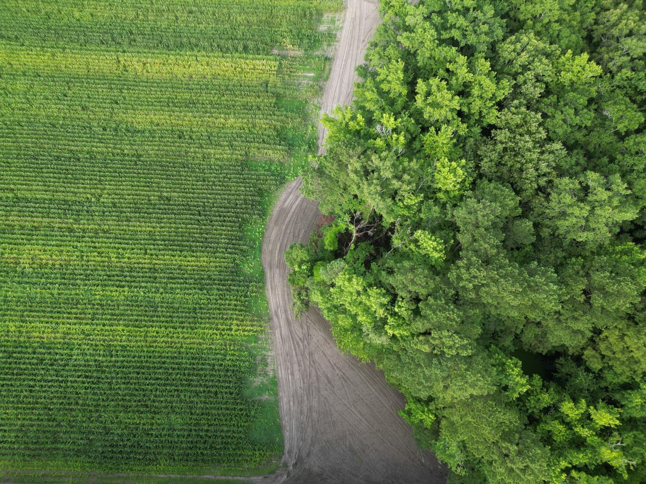 000 Cypress Campground Road Photo 12