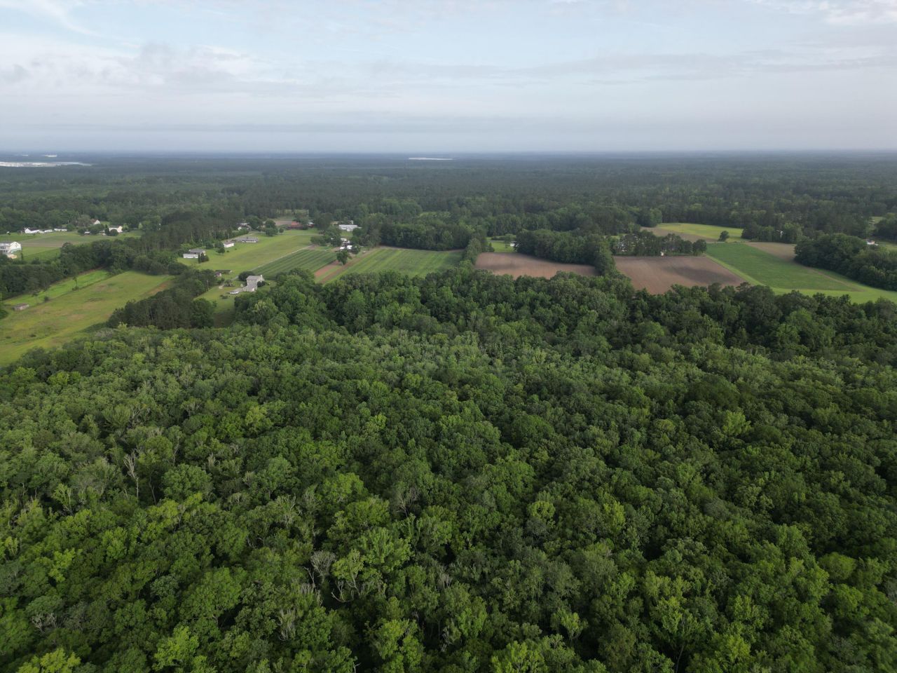 000 Cypress Campground Road Photo 14