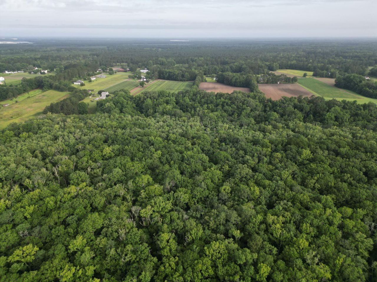 000 Cypress Campground Road Photo 15