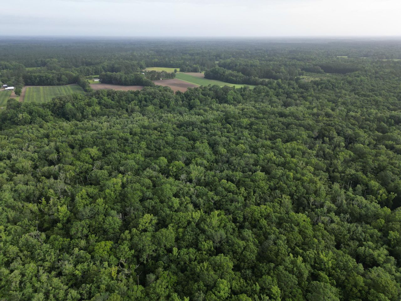 000 Cypress Campground Road Photo 16