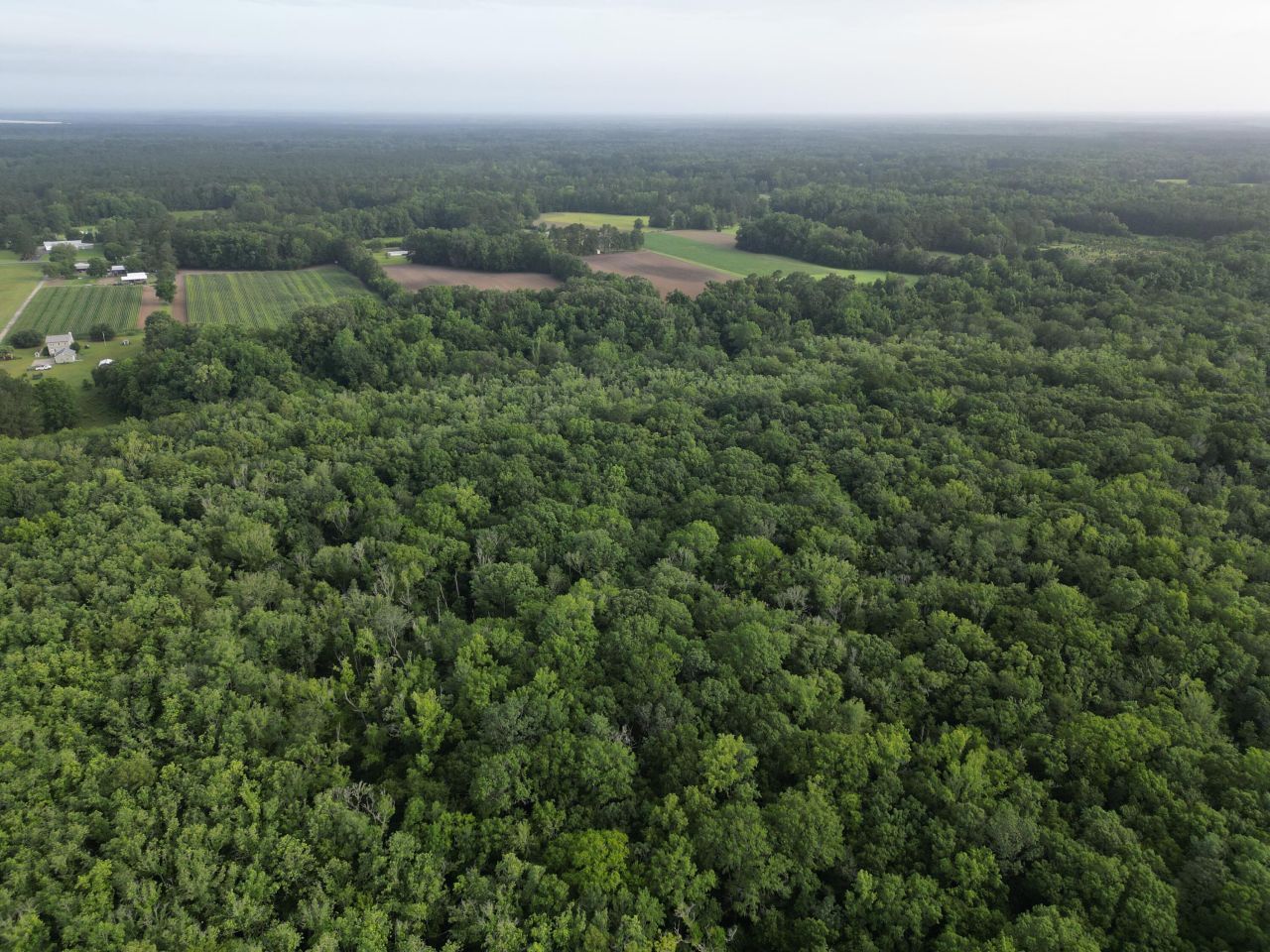 000 Cypress Campground Road Photo 17