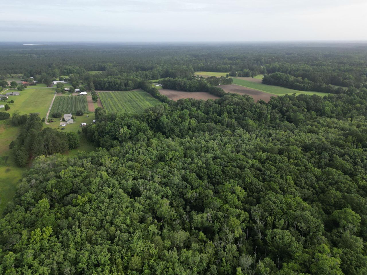 000 Cypress Campground Road Photo 18